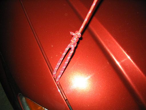 string